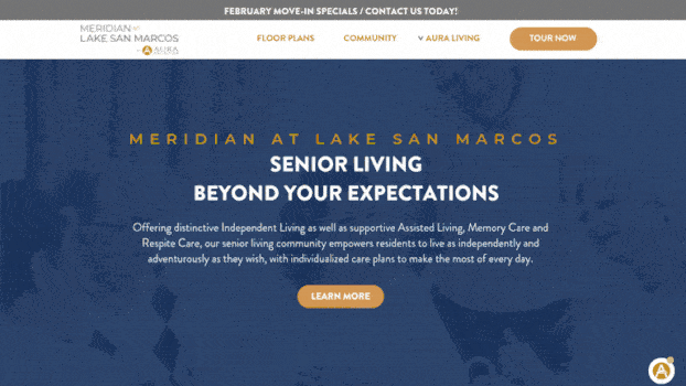 Meridian at Lake San Marcos website design